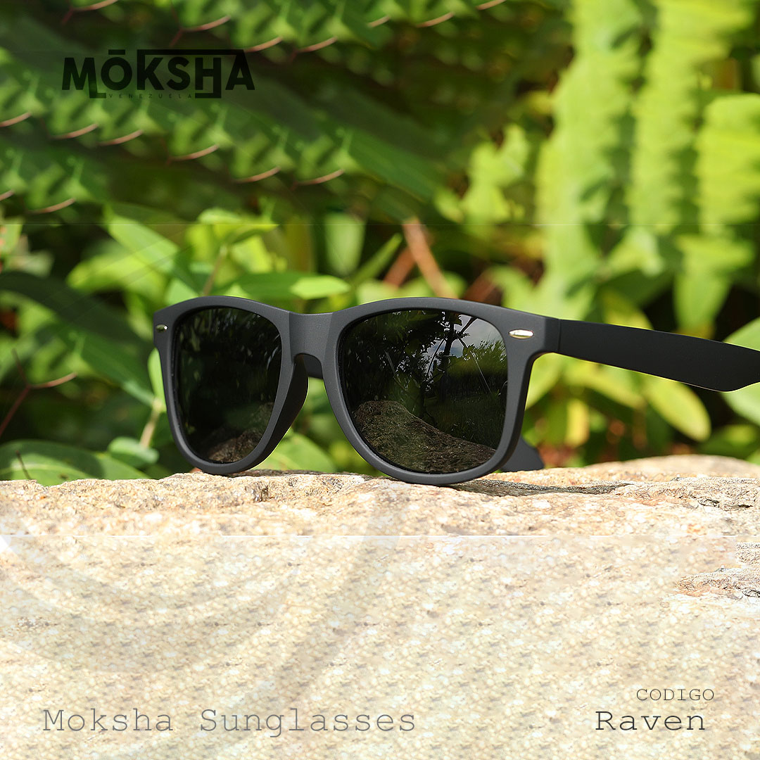 Raven polarizados - Imagen 2